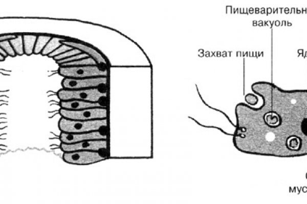 Кракен с айфона