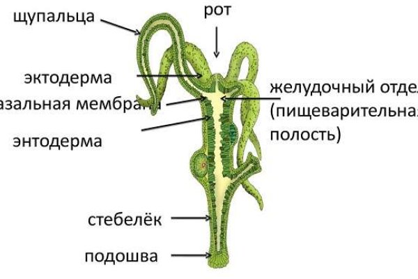 Кракен шоп зеркало