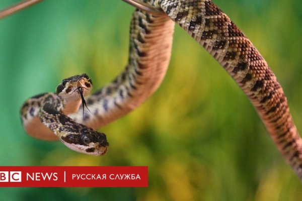 Кракен маркетплейс официальный сайт