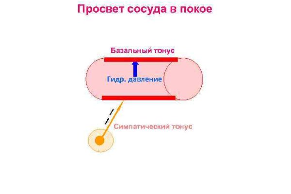 Onion сайт кракен