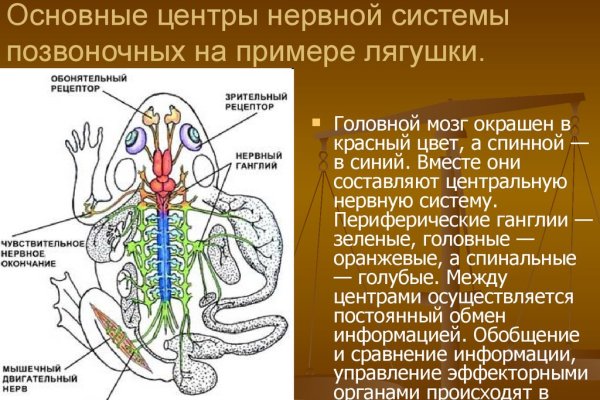 Что за приложение кракен